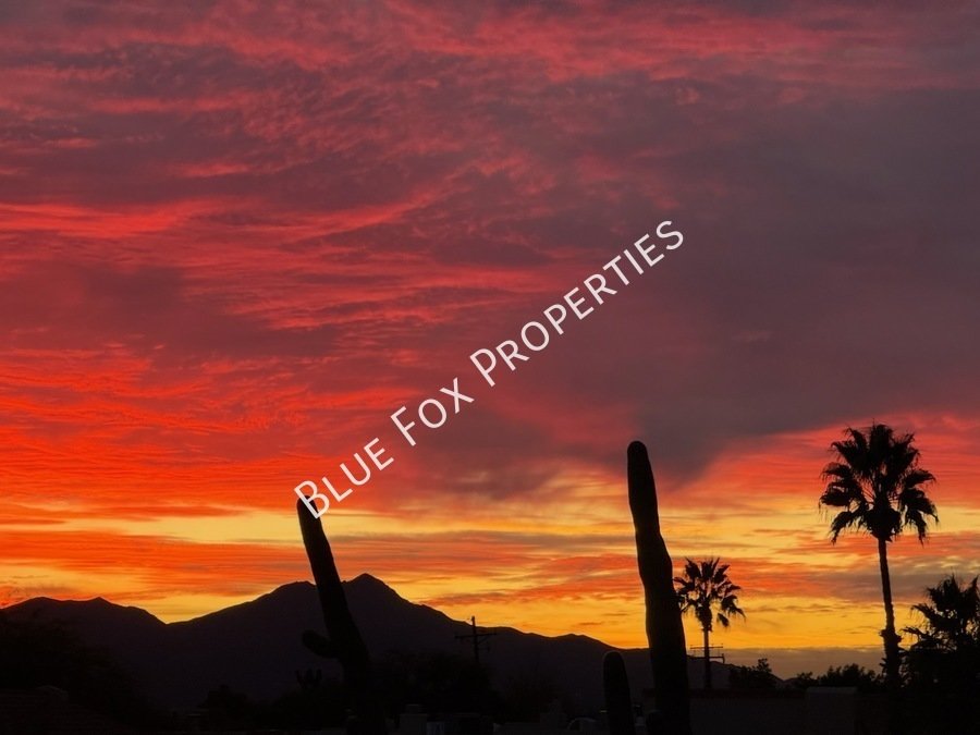 6217 North Saguaro Post Place property image