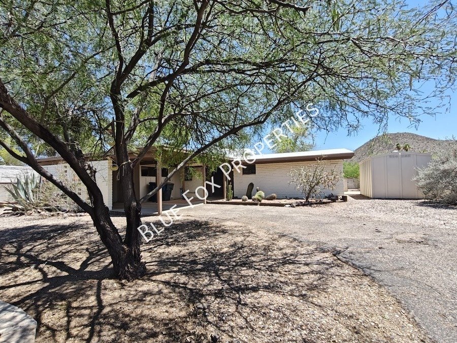 2781 W Calle Carapan property image