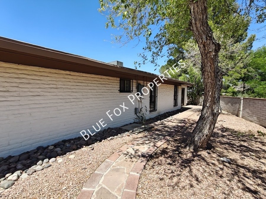 2781 W Calle Carapan property image