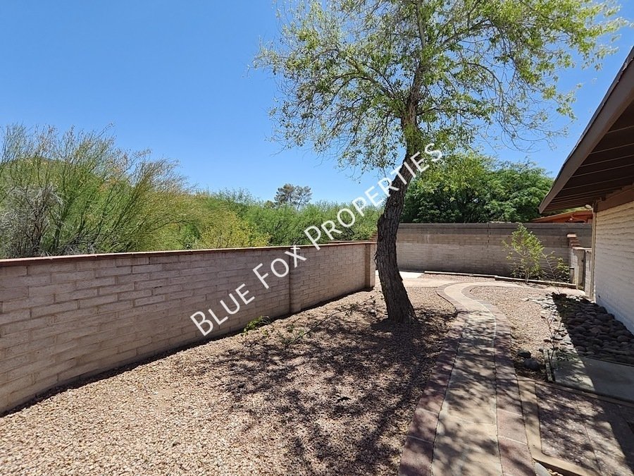2781 W Calle Carapan property image