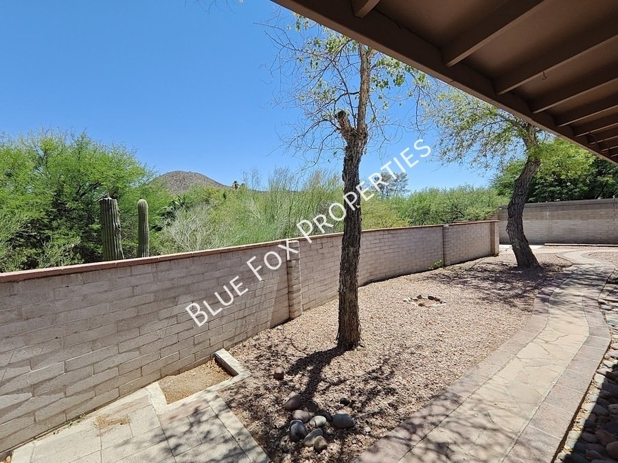 2781 W Calle Carapan property image