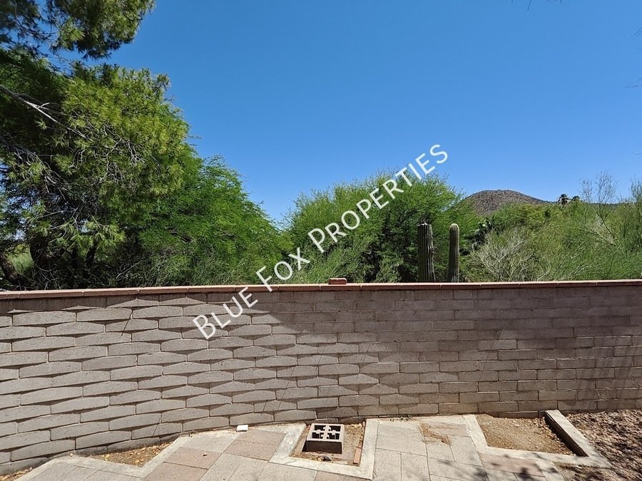 2781 W Calle Carapan property image