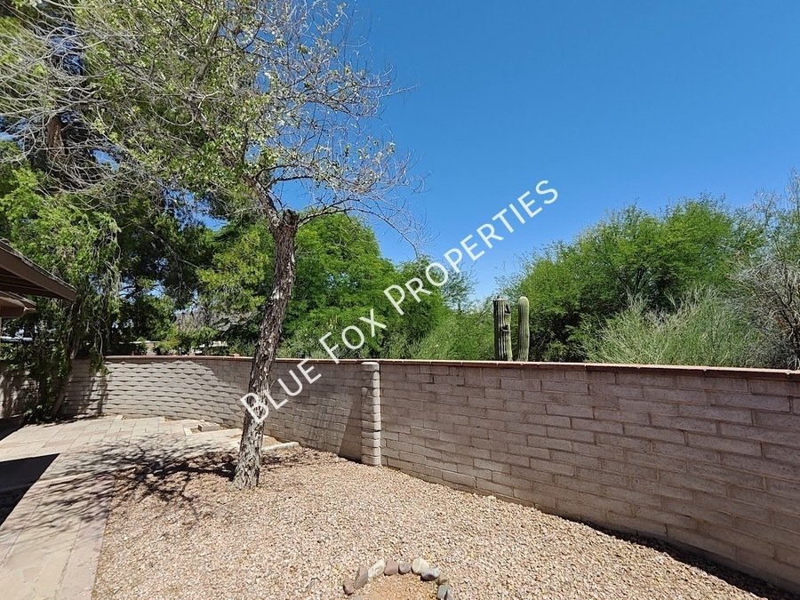 2781 W Calle Carapan property image
