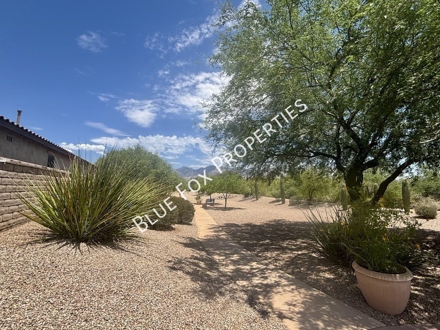 11718 N Key Lime Pl property image