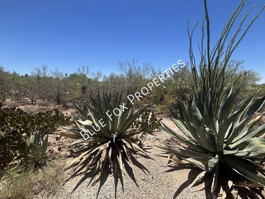 2 Bedroom, 2 Bathroom in the Santa Catalina Estates property image