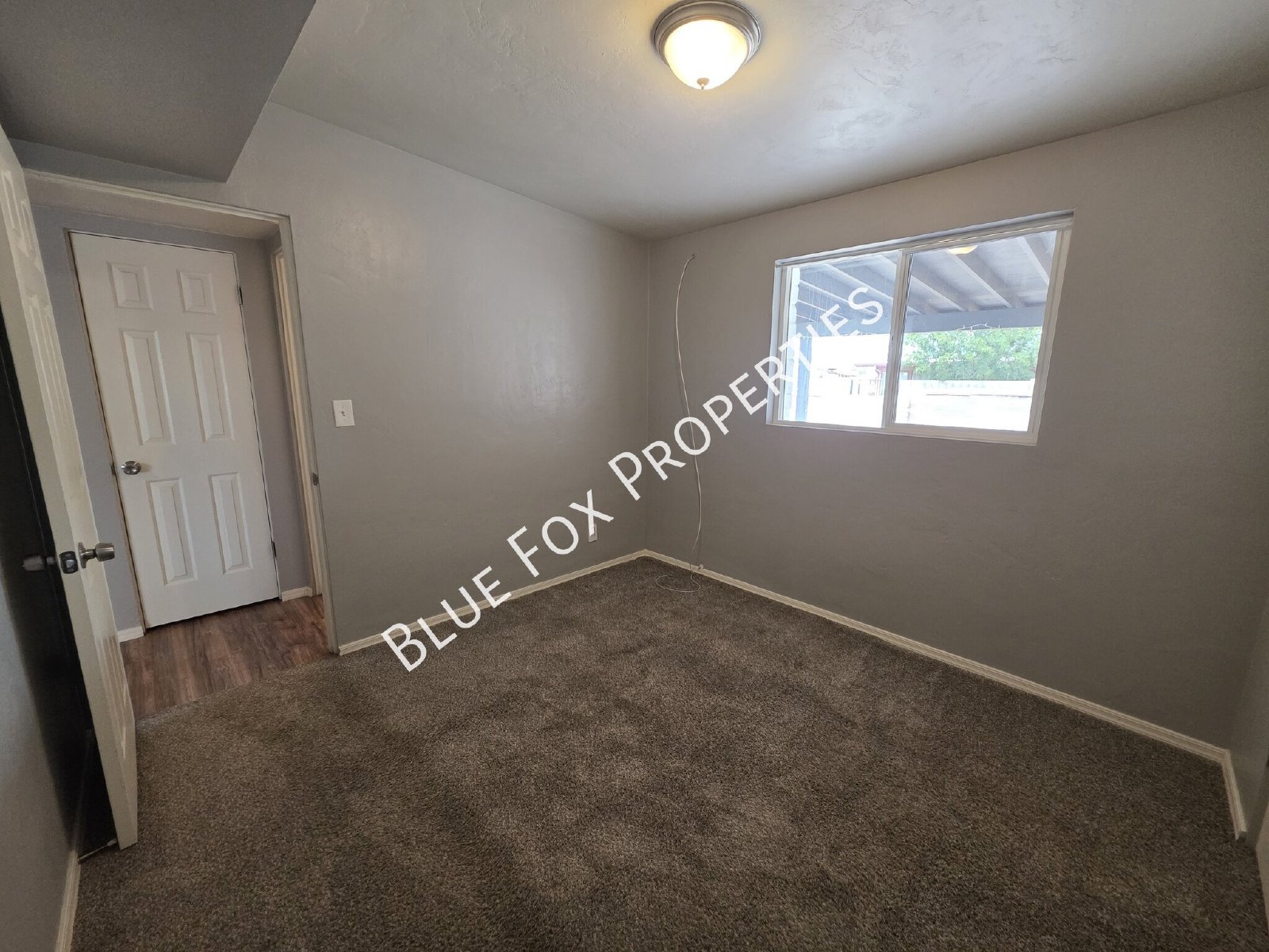 7049 E Calle Canis property image