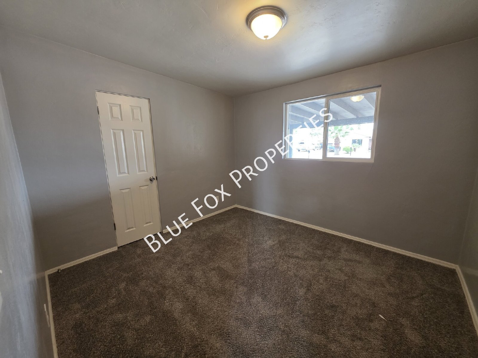 7049 E Calle Canis property image