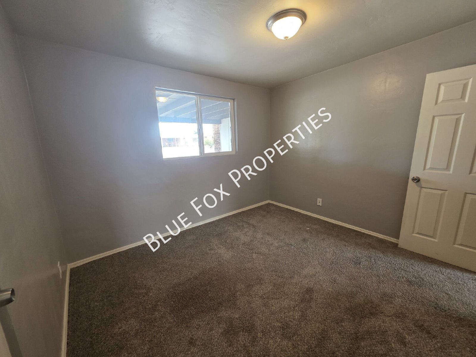 7049 E Calle Canis property image