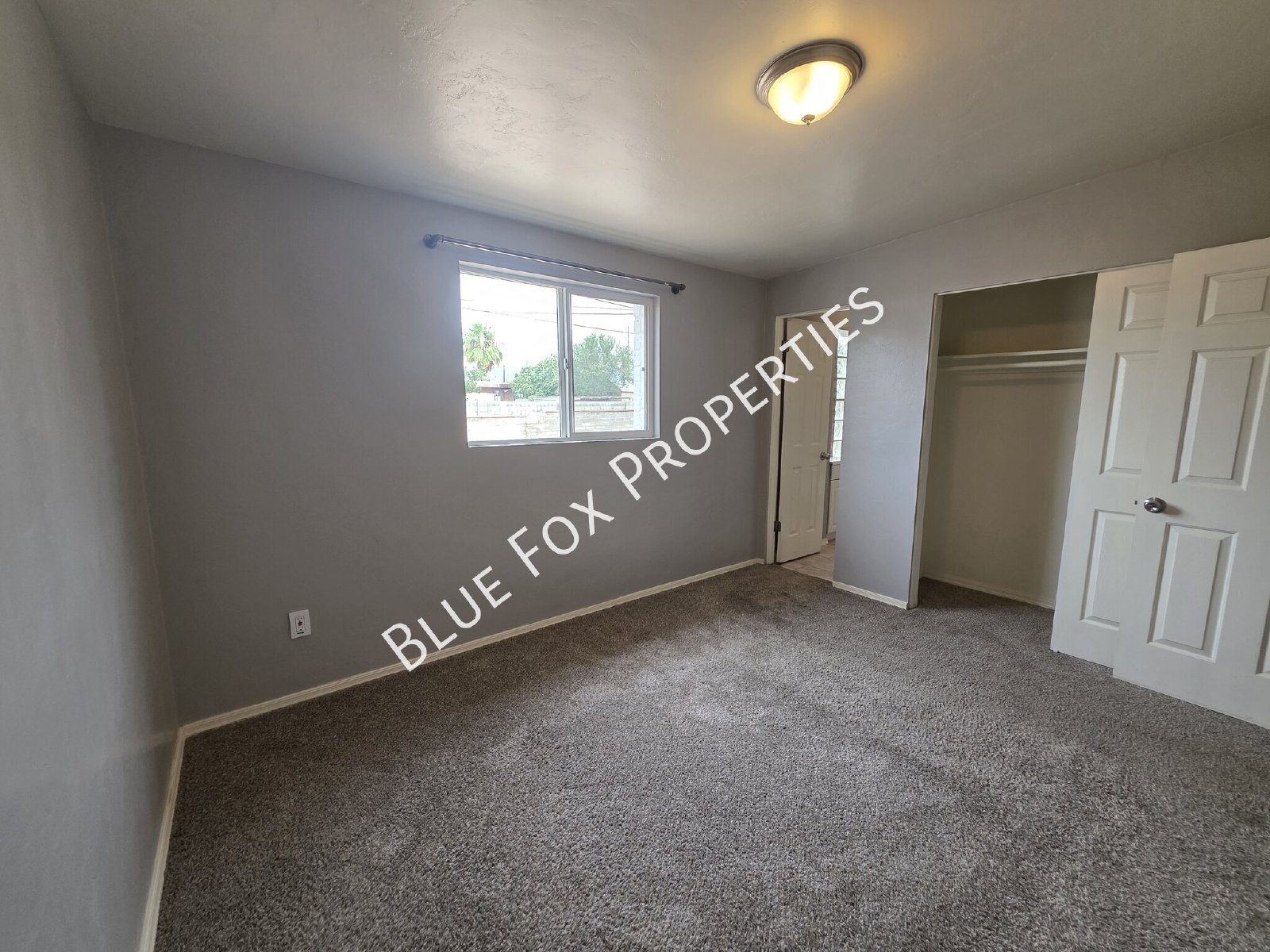 7049 E Calle Canis property image