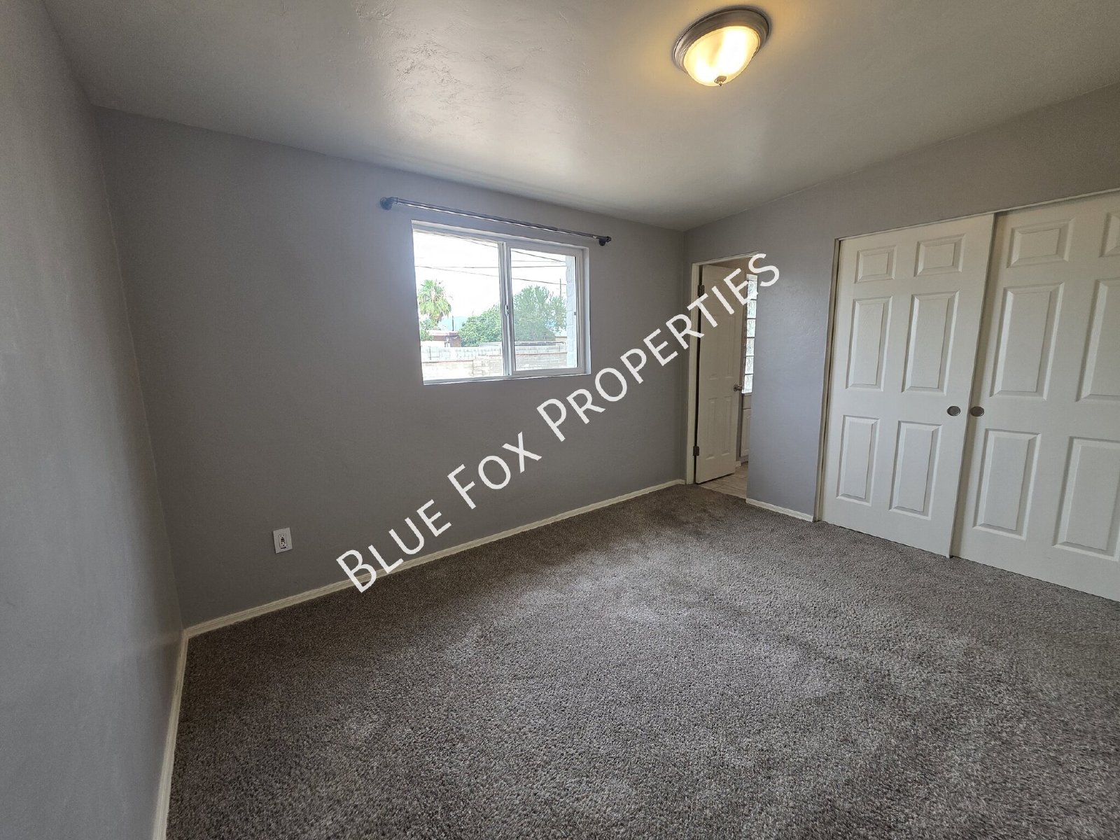 7049 E Calle Canis property image