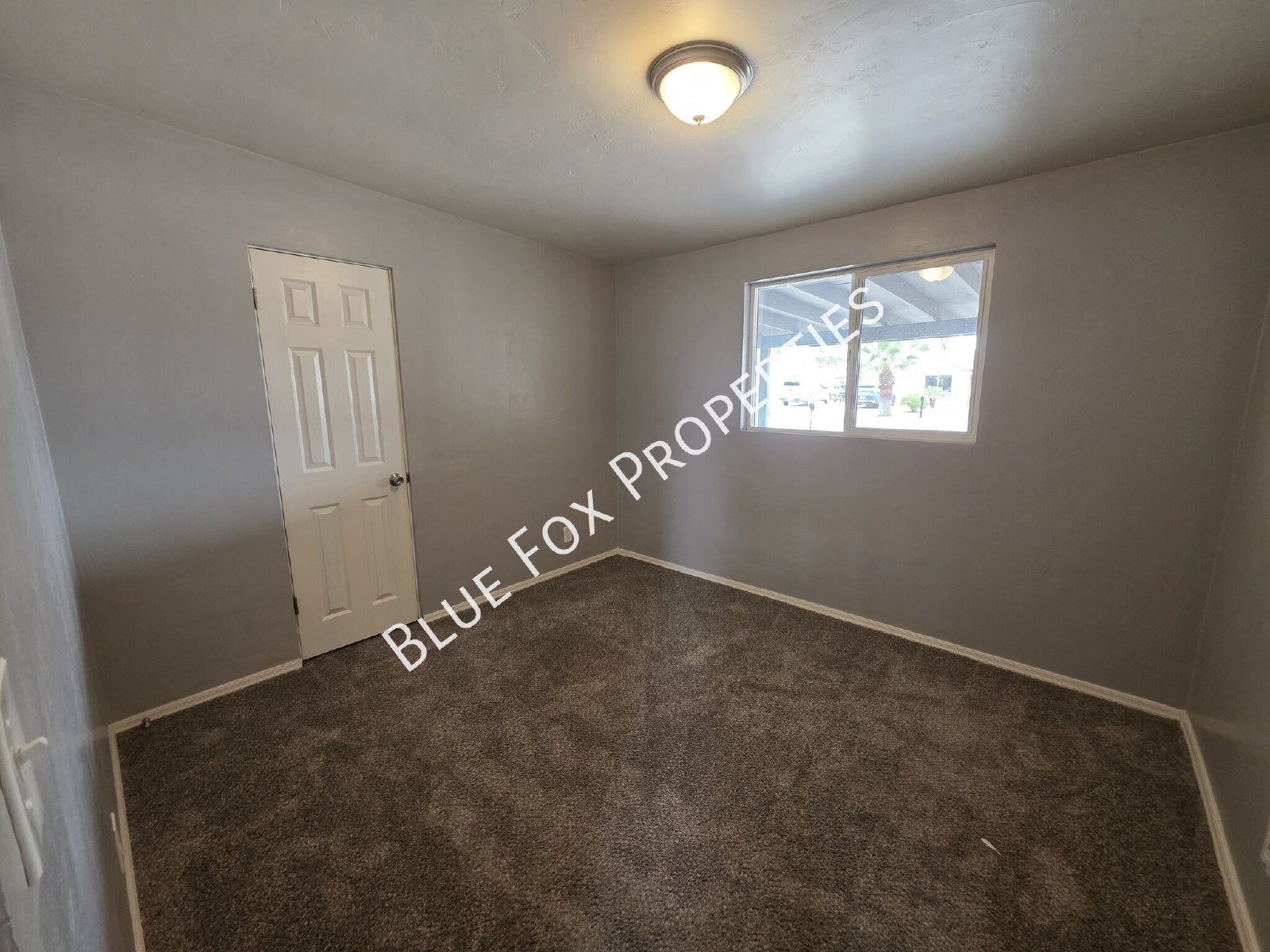 7049 E Calle Canis property image