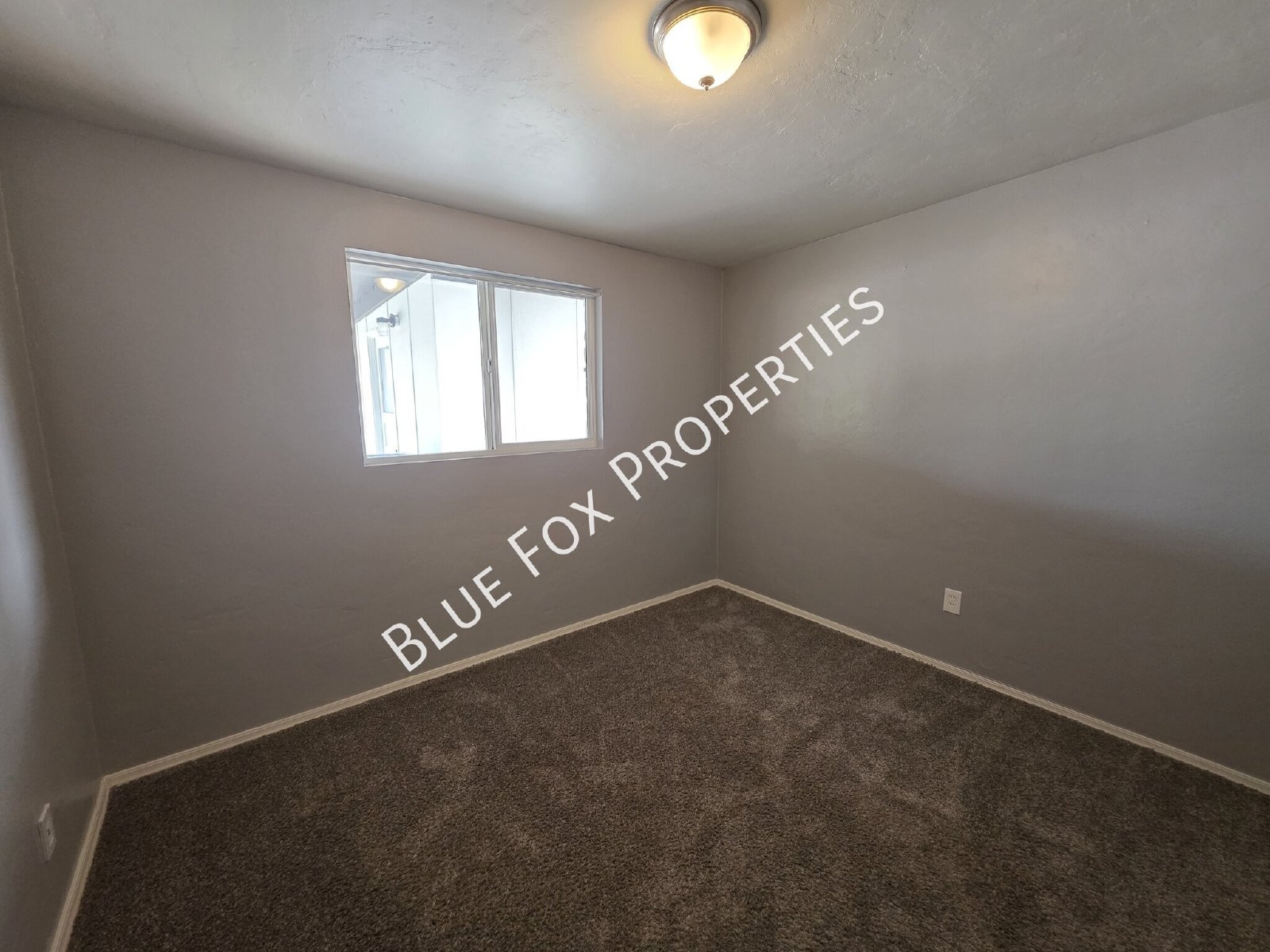 7049 E Calle Canis property image