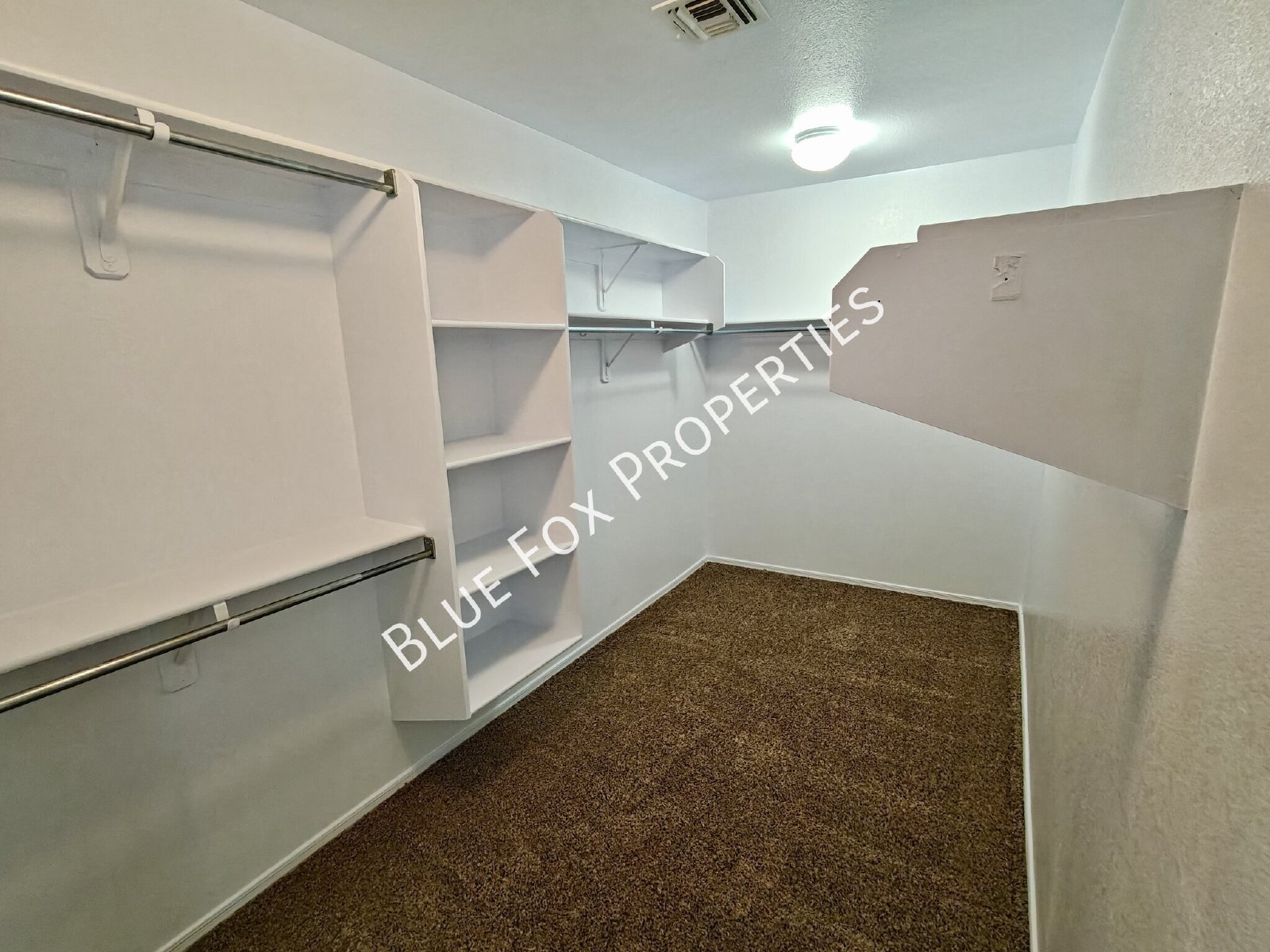 5879 E Hackle Lane property image