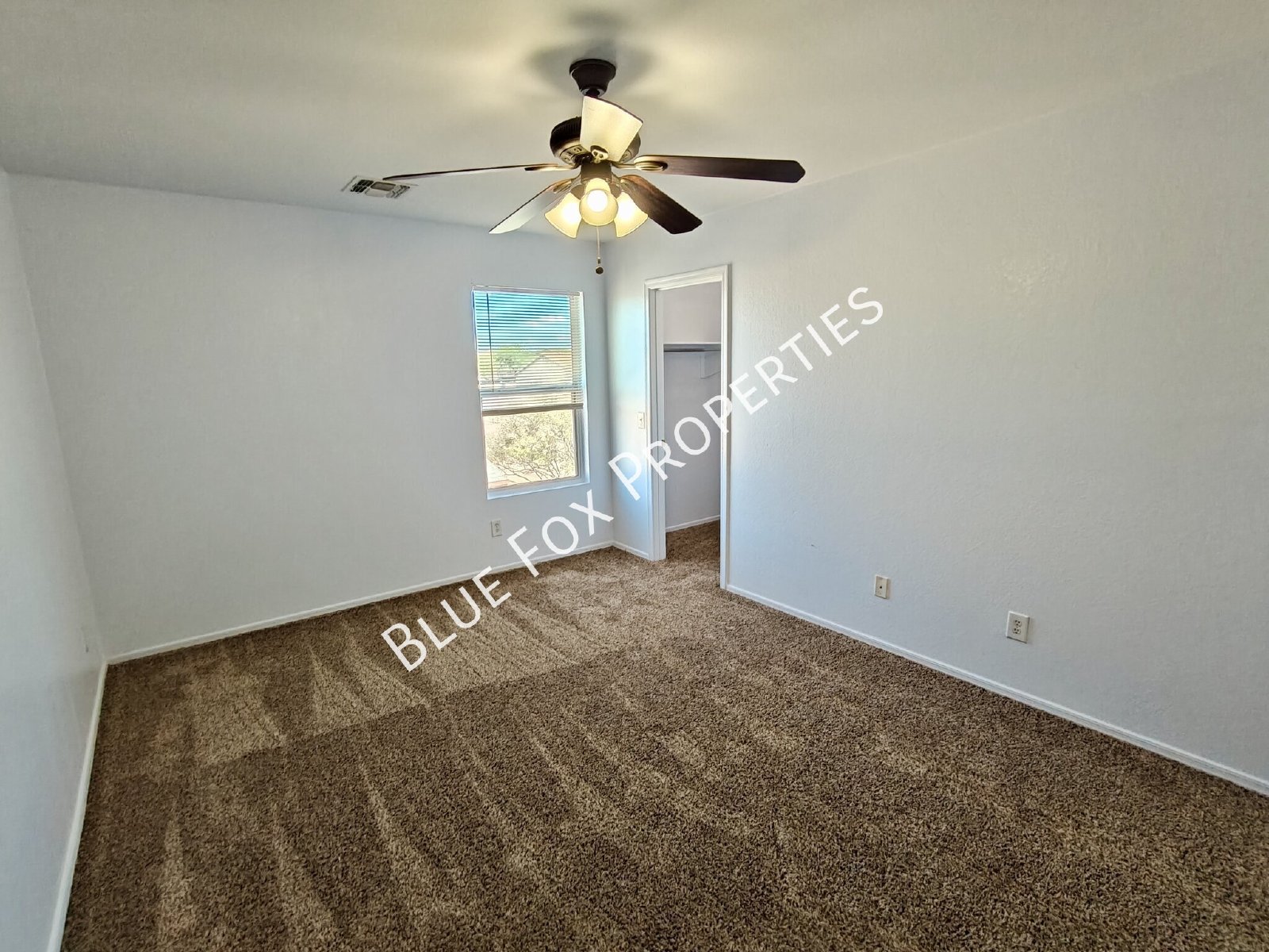 5879 E Hackle Lane property image