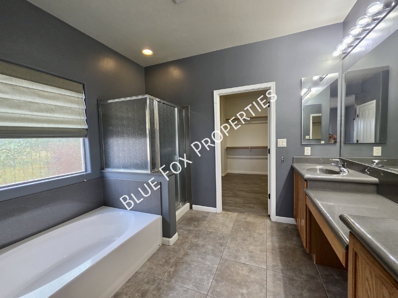 17329 S Indigo Crest Pass property image