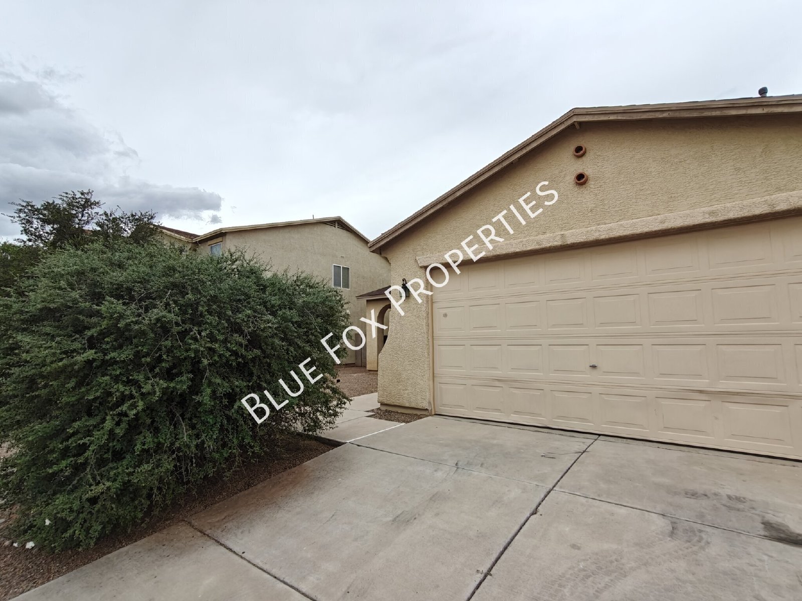 6895 S Martlet Drive property image