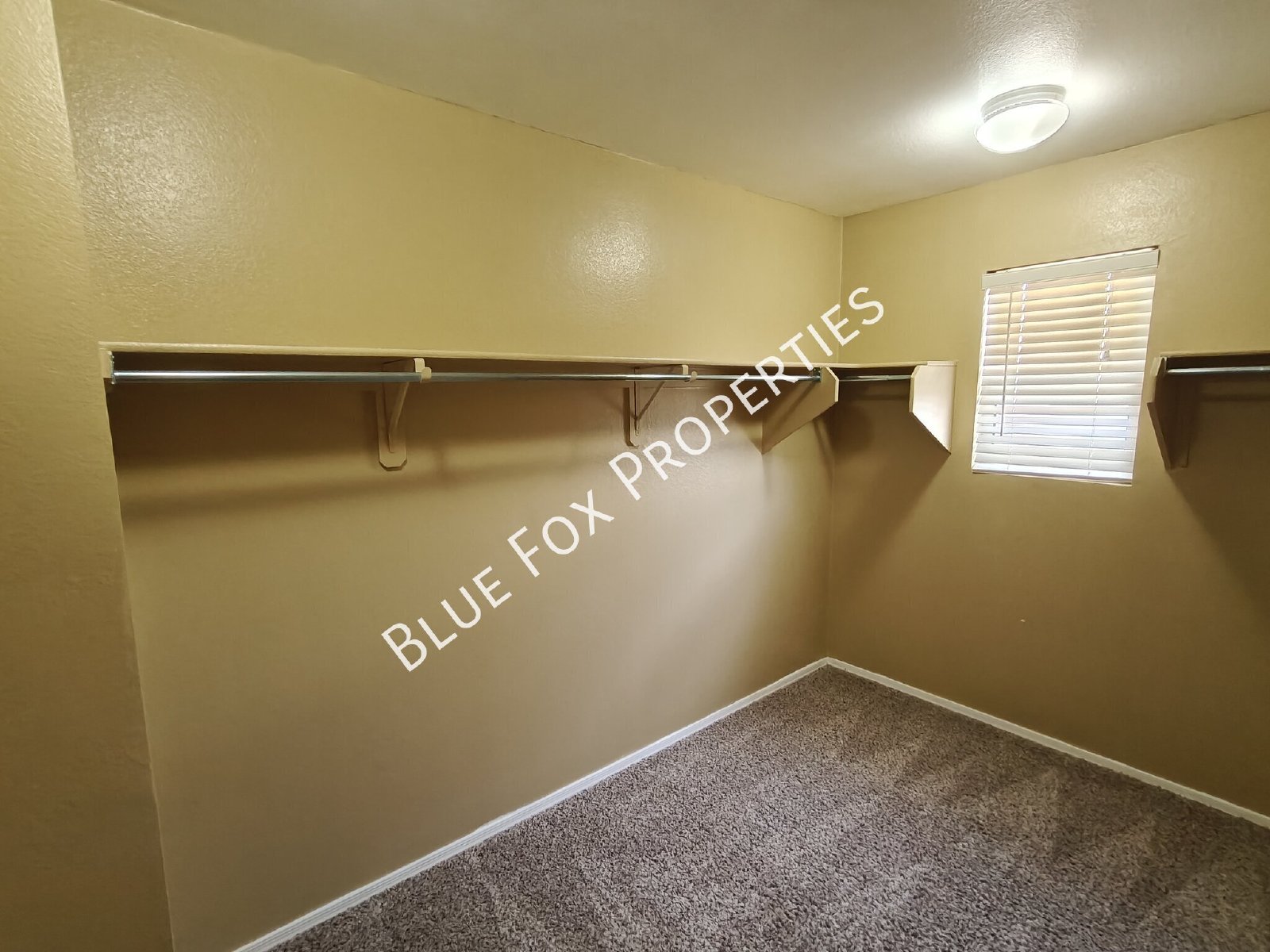 6895 S Martlet Drive property image
