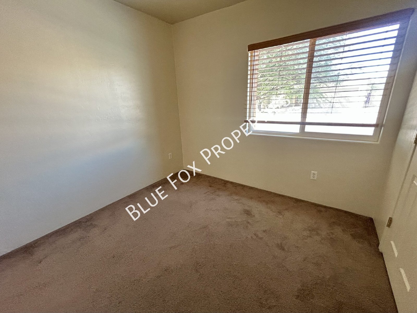 5459 W Mosquito Dr property image