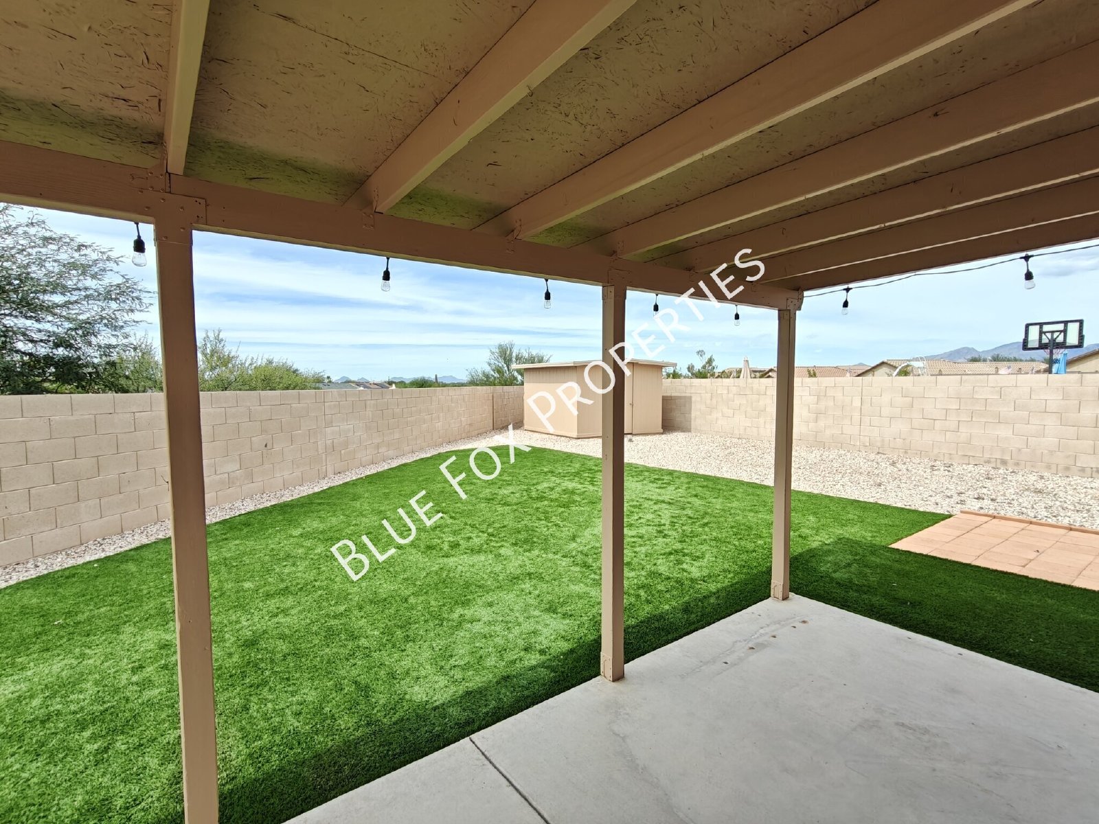 8854 E Citrus Tree Dr property image