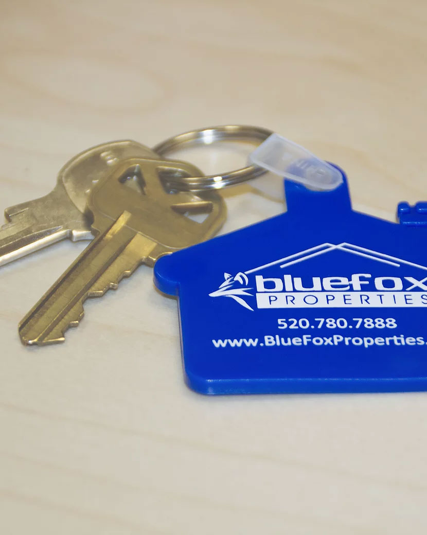 Bluefox Properties Folder